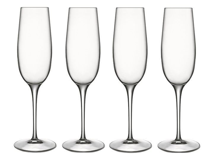 Luigi Bormioli Crescendo Champagne Glasses, 235ml x 4