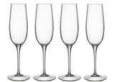 Luigi Bormioli Crescendo Champagne Glasses, 235ml x 4