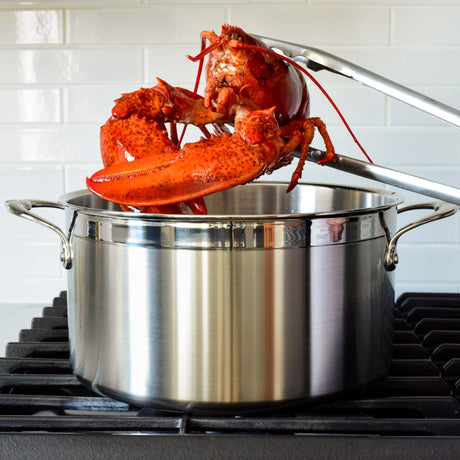 Hestan ProBond Induction Stainless Steel Stockpot & Lid - 26cm (7.6L)